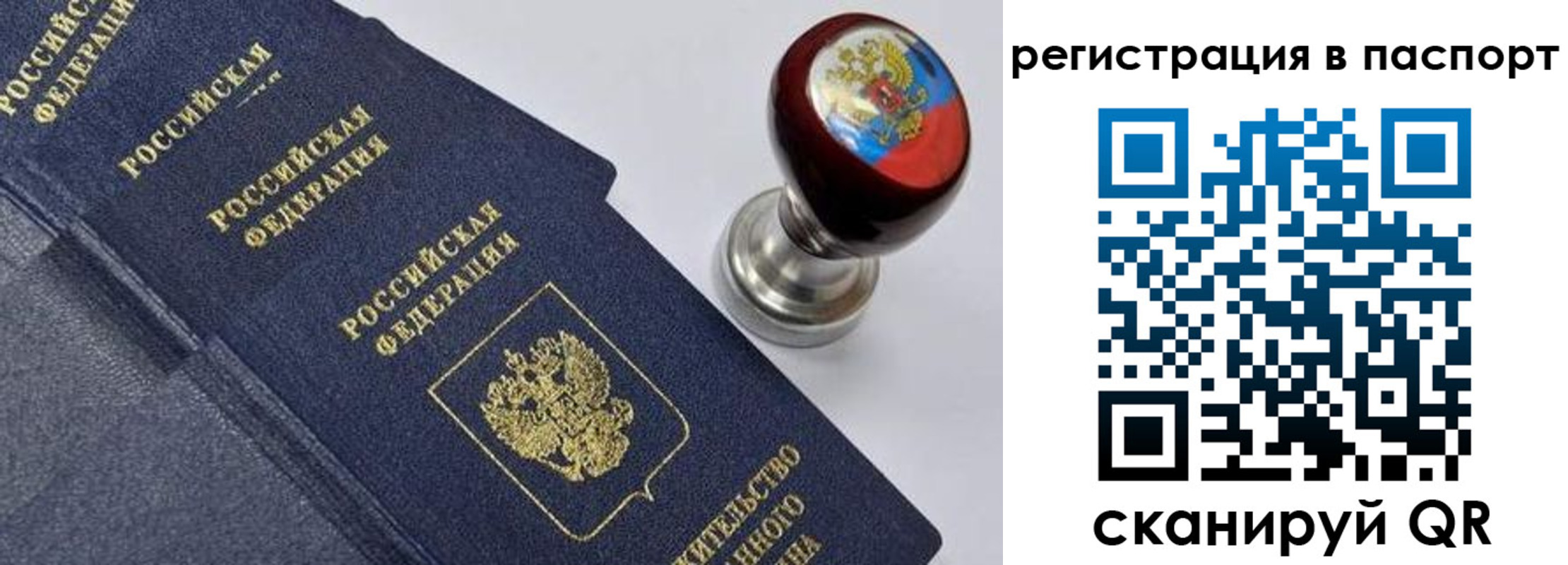 прописка поиск в Тайшете
